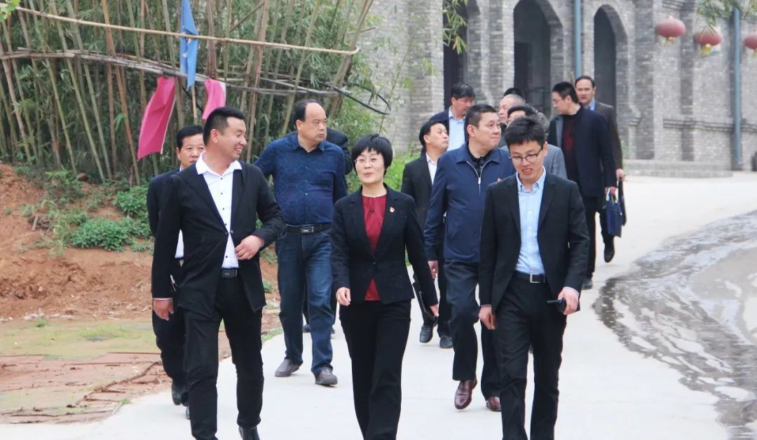 洛阳市委宣传部部长王飞到咱村调研