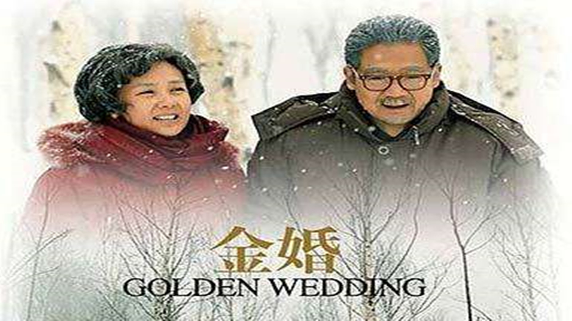 《金婚》讲述了年轻漂亮的小学语文老师文丽和重型机械厂技术员佟志的