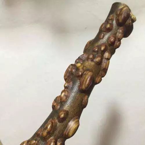 以前乞丐用的打狗棒,现在成了宝,一木难求