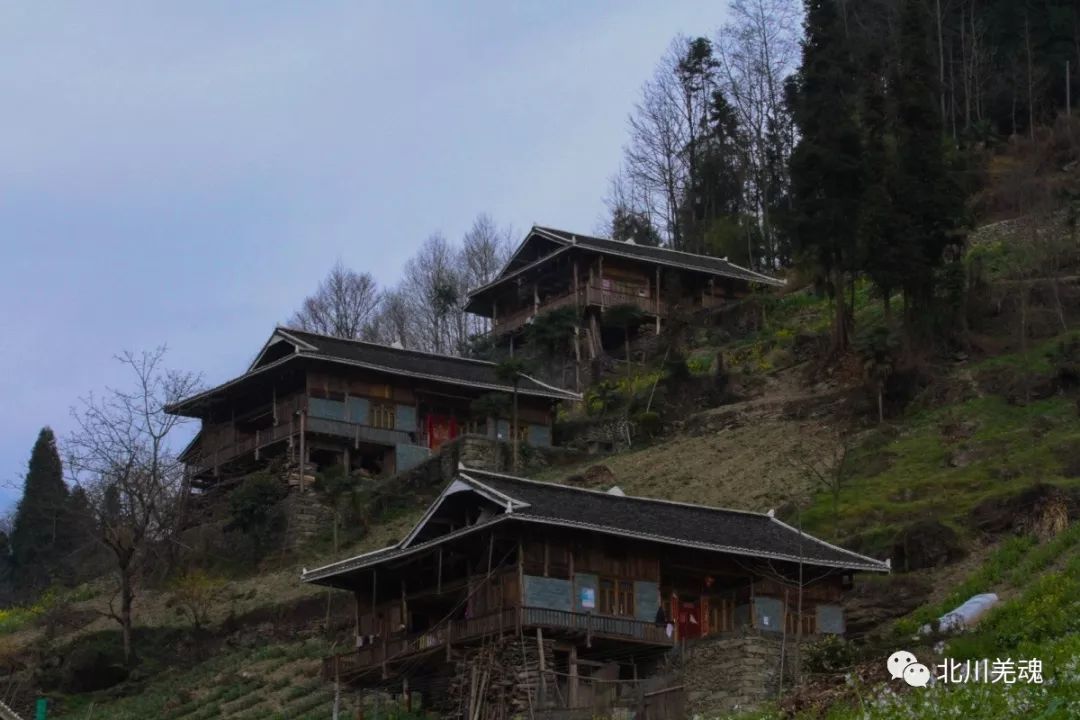 志·黑水 | 以番制番的"土司制度"