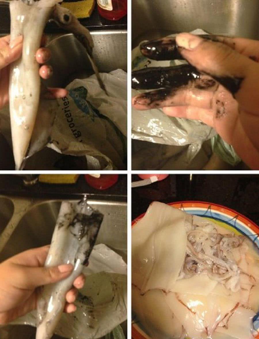 其实人们说说的墨鱼,鱿鱼和八爪鱼(章鱼)都会喷墨,统称墨鱼,它们是