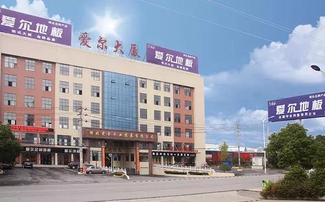 湖北经视桃花朵朵开牵手爱尔地板开启爱的浪漫旅程