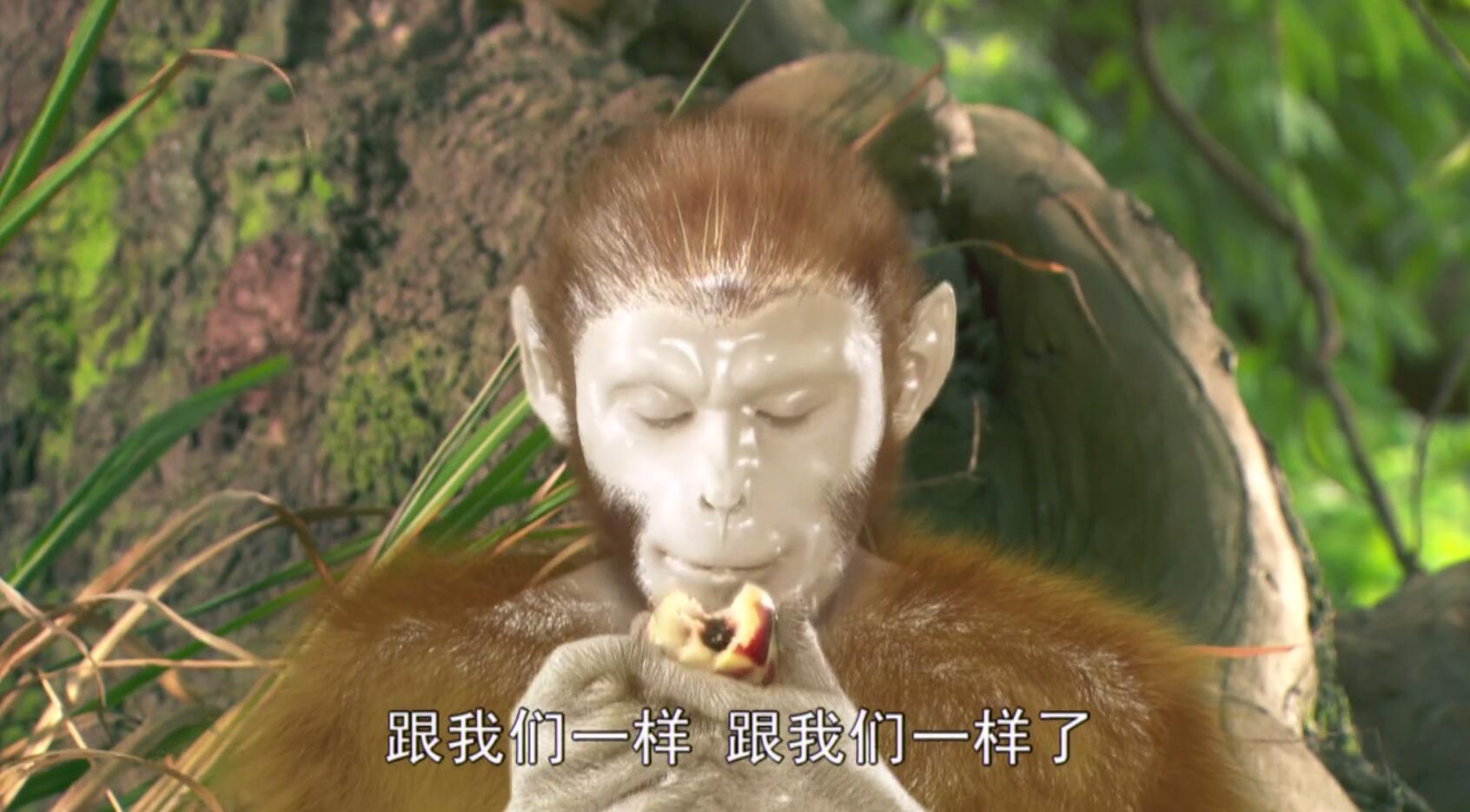 我要给你生猴子 来自搜狐网