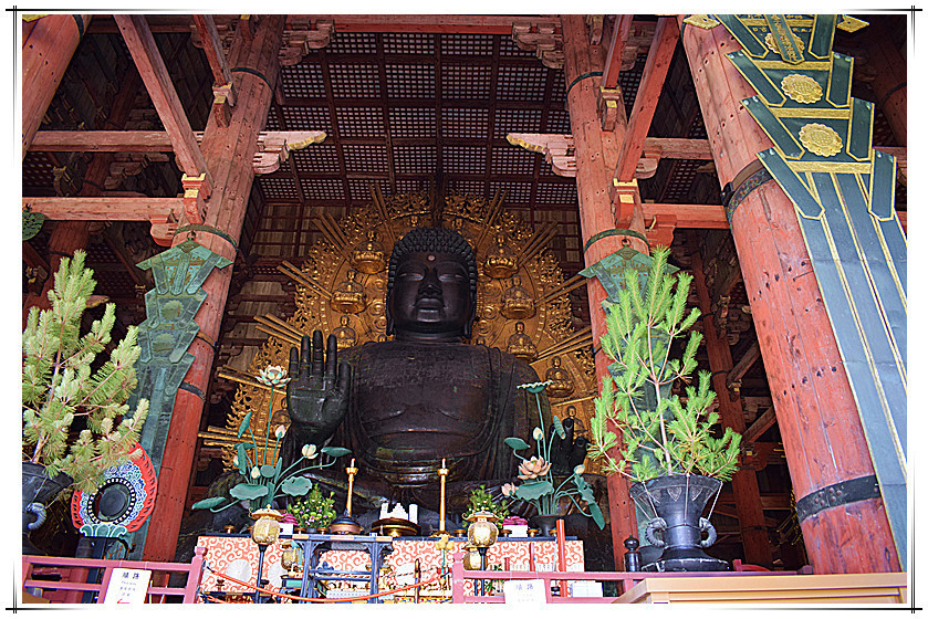 鉴真和尚「设坛授戒圣地-东大寺」慢-享-秘境日本