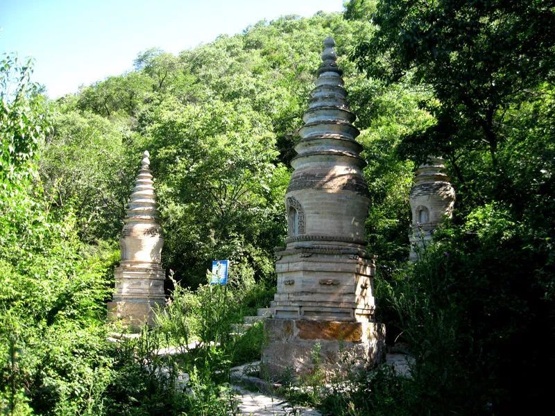 大海陀自然保护区地理坐标介于东经115°42′40″~ 115°53′45