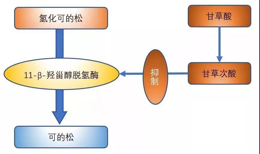 因此,複方甘草口服溶液致可體內氫化可的松水平升高,從而引起低血鉀症