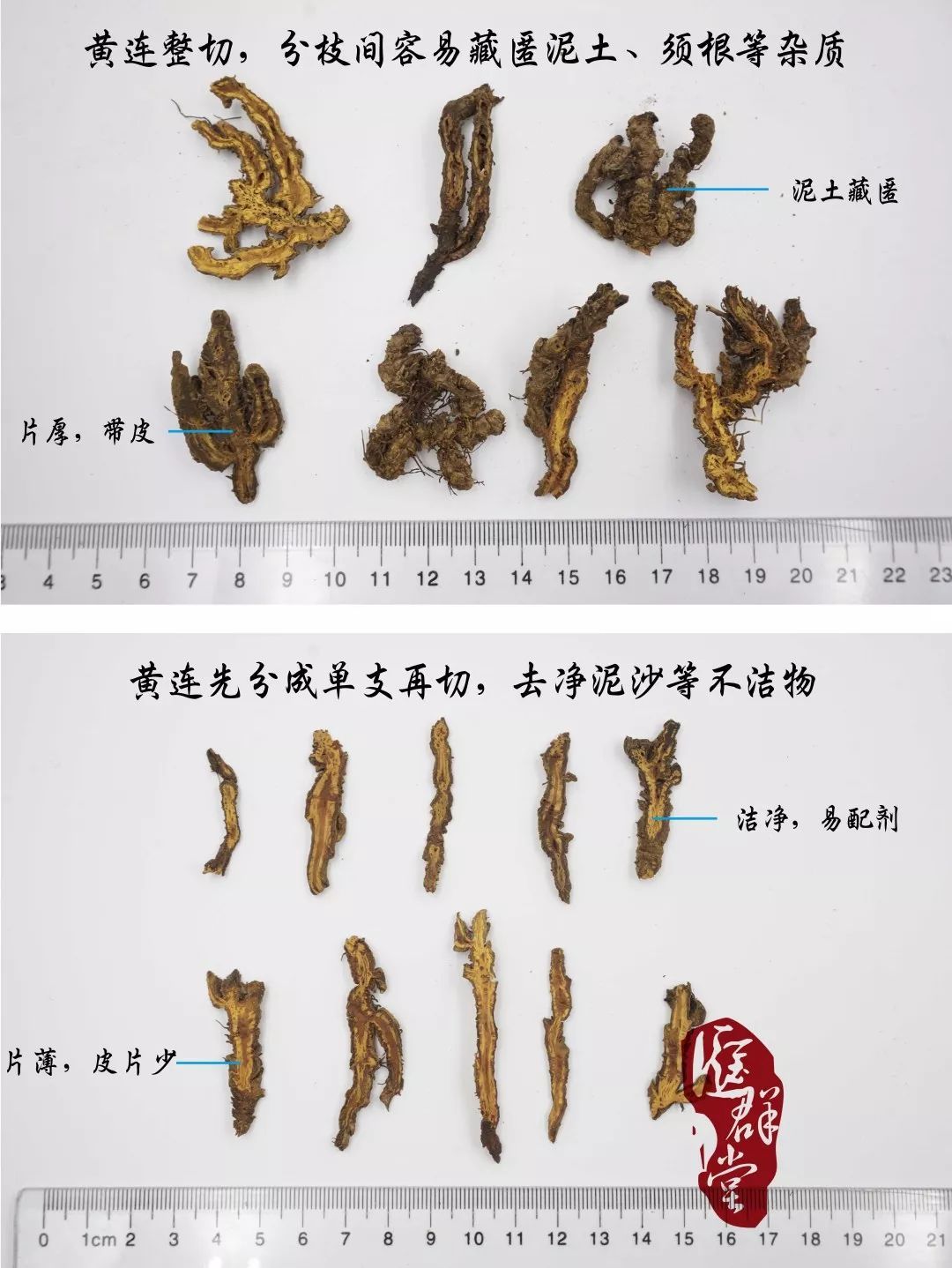 哑巴吃黄连有苦说不出中药界的阿司匹林败火解毒堪称第一