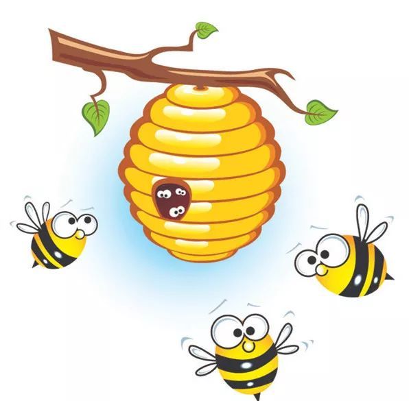 蜂蜜,小心夸大不实的效果,食用安全最重要