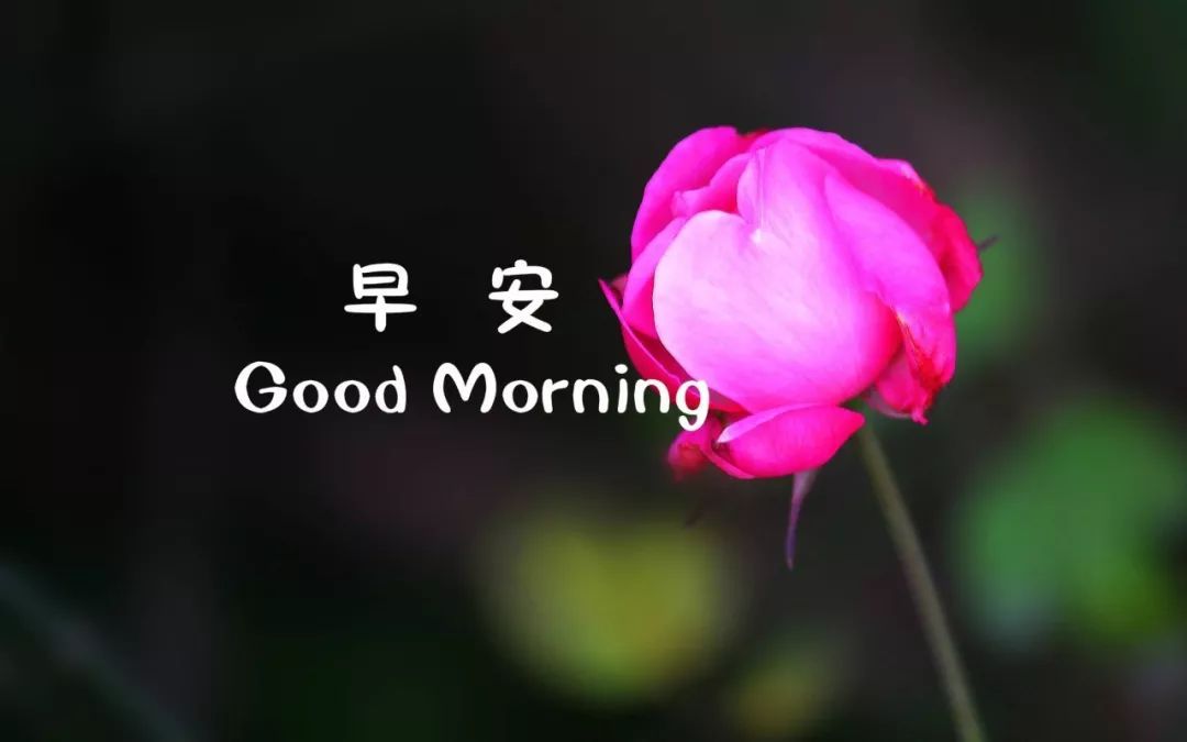 2019年早晨励志激励语,早安激励人心的励志语句