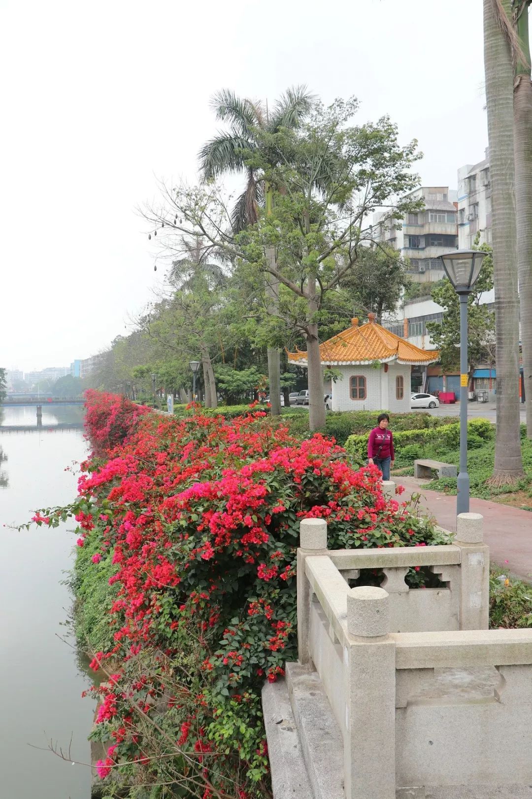 江门麻园小巷子图片