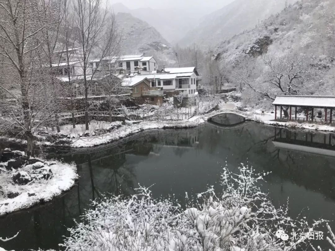 卢通洋 摄今天凌晨,房山蒲洼山区,门头沟灵山山区都降下了雪花.