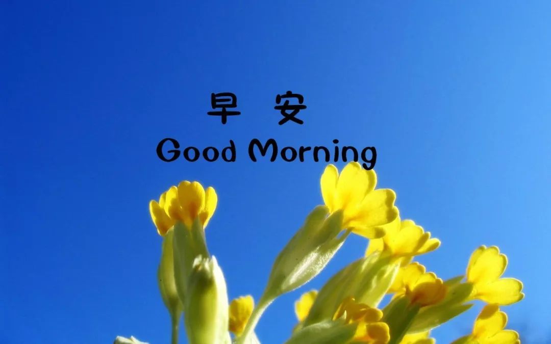 2019年早晨励志激励语,早安激励人心的励志语句