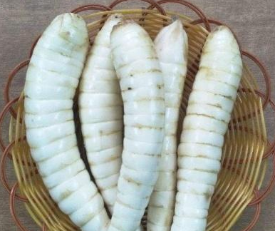 大姐路边卖"大白虫"2元一个,路人只看不敢买,识货的直接包圆