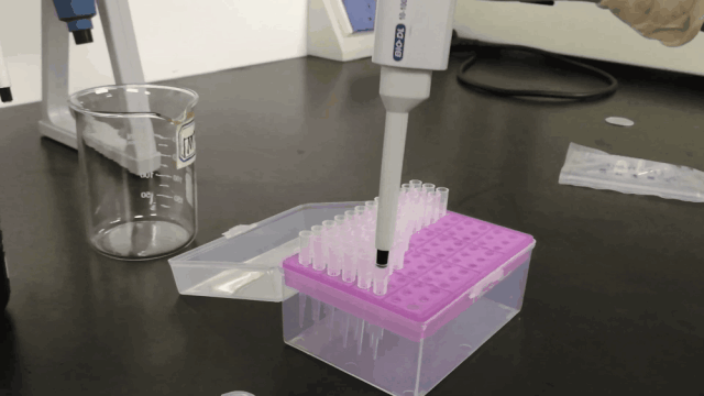 pcr实验必备工具—移液器使用方法分步图解教程