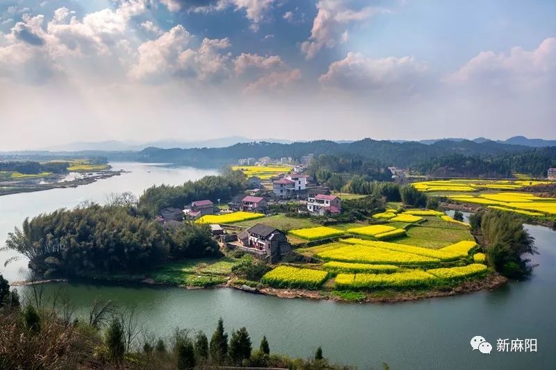 太惊艳199秒麻阳新歌油菜花