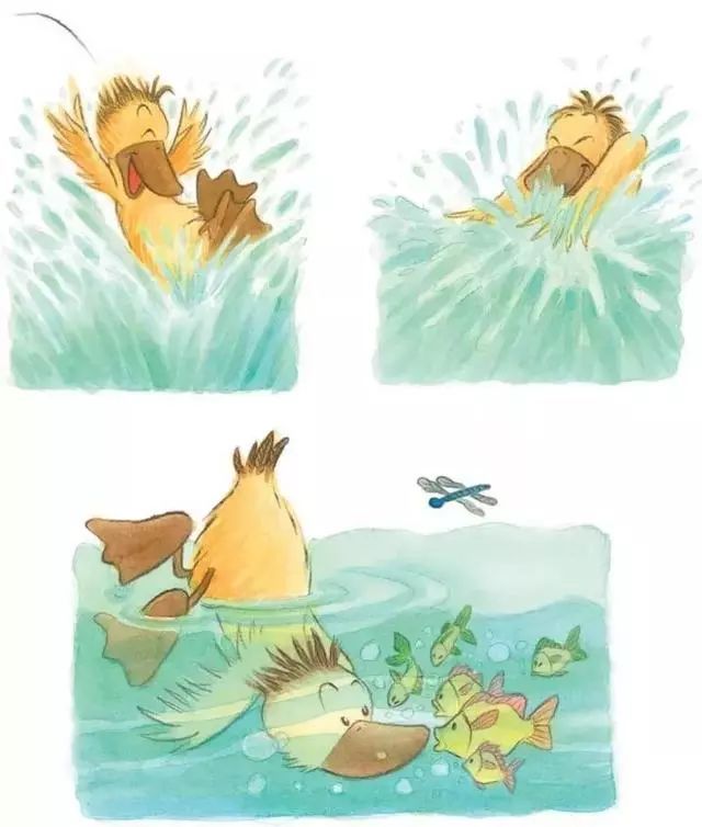 故事▏傻傻的小鸭子sillylittleduck