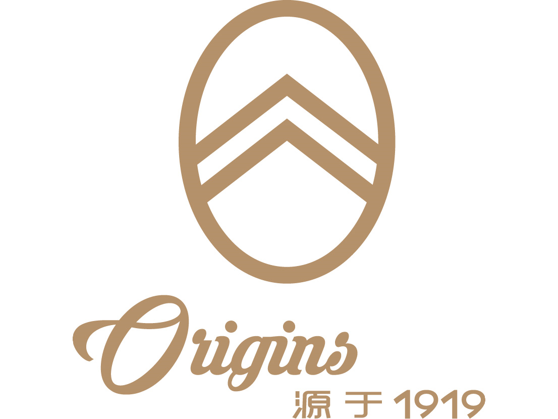 【雪铁龙origins系列车型标识】