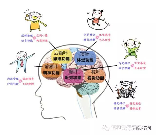 微表情读心术1视觉型听觉型还是触觉型