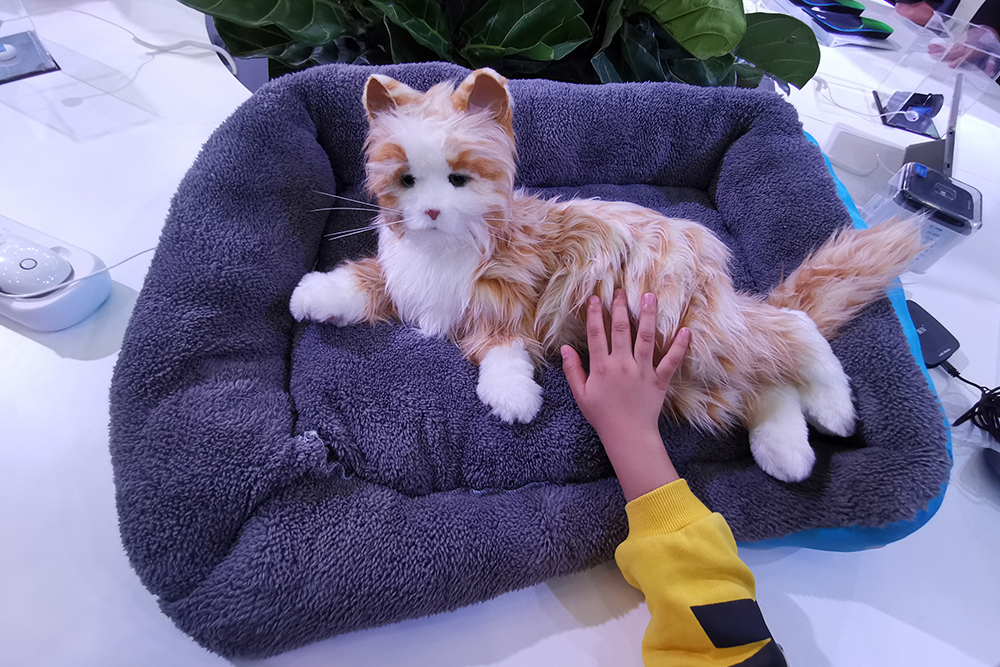 武汉:仿真猫亮相世界大健康博览会 萌翻众人_市民