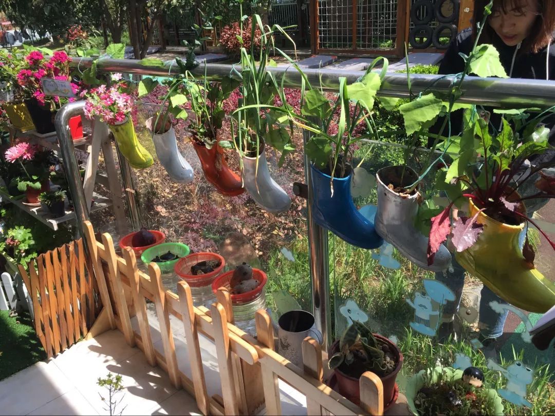 播种绿色,拥抱春天——新南幼儿园开展自然角创设评比活动