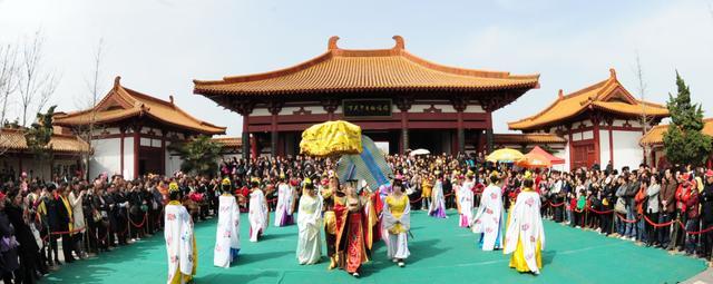 洛阳牡丹花会期间 这个牡丹园值得一去 门票50 对面就是白马寺 神州
