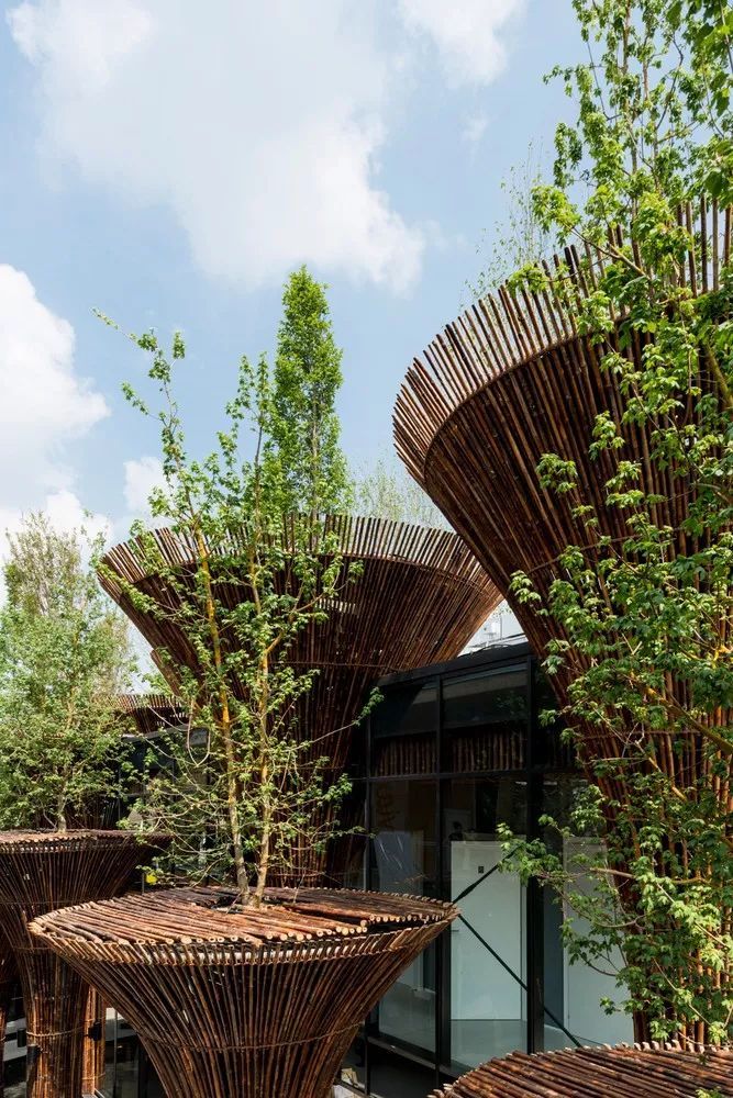 10个建筑作品解读武重义把竹子用到极致的越南建筑大师