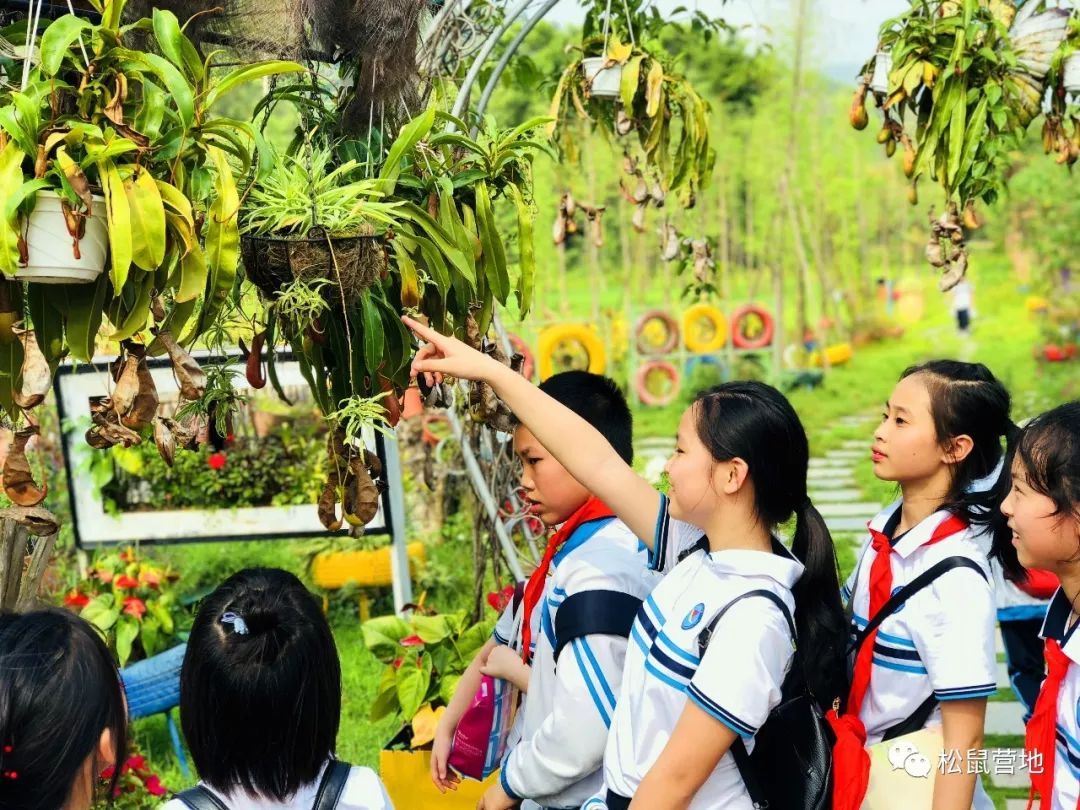 一日研学游东南花都品花漾生活漳州市南坑中心小学2019年研学实践之旅