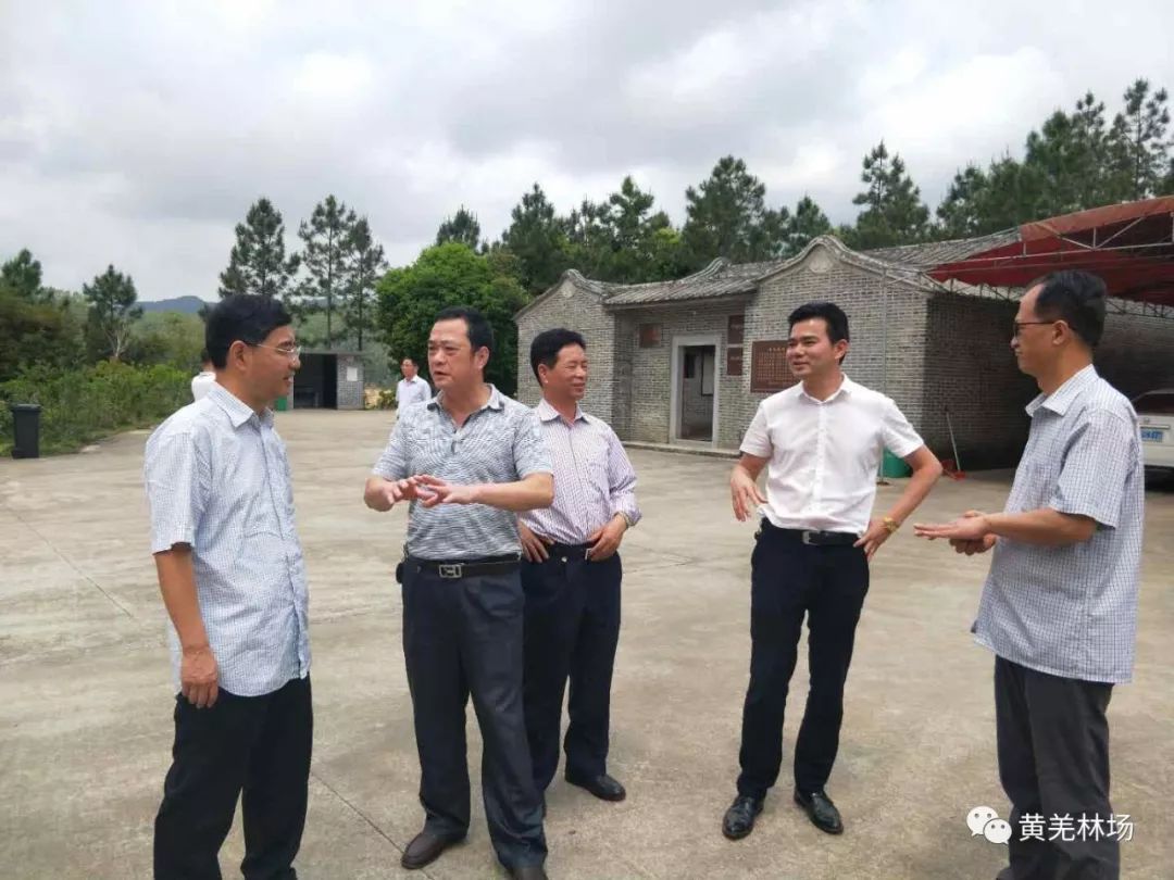 江苏省镇江市人大常委会考察组到黄羌林场考察山体保护