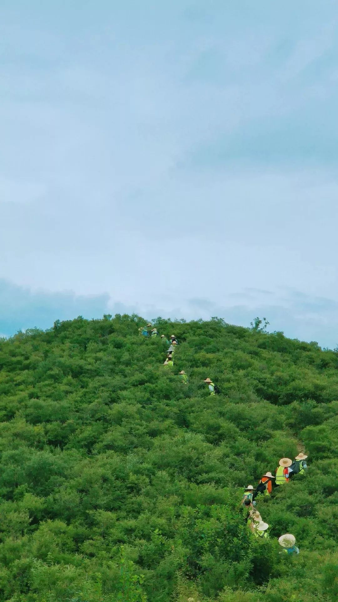 爱上南望山宝藏高校中国地质大学武汉