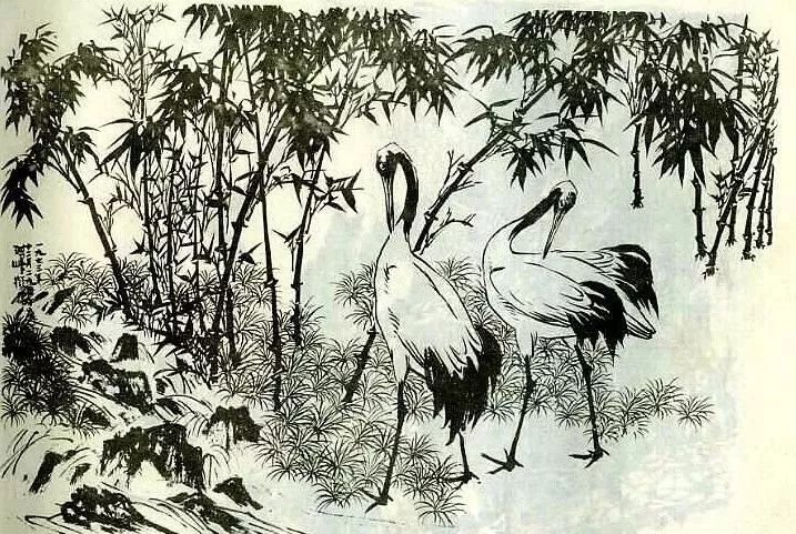 一笔一划学画丹顶鹤