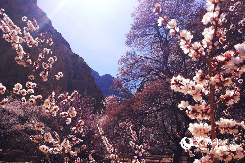 新疆帕米尔高原深处的世外桃源组图