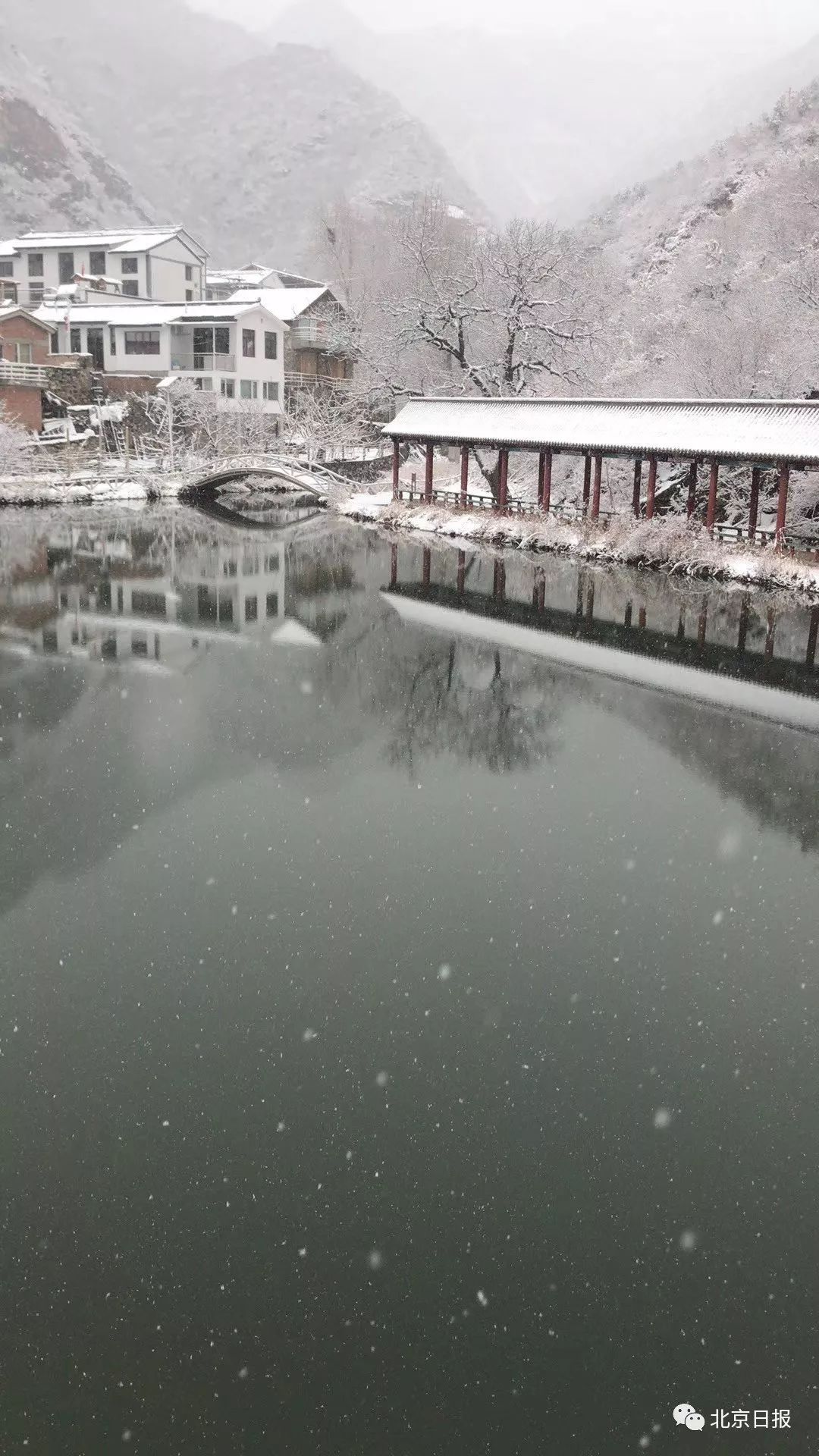 卢通洋 摄今天凌晨,房山蒲洼山区,门头沟灵山山区都降下了雪花.