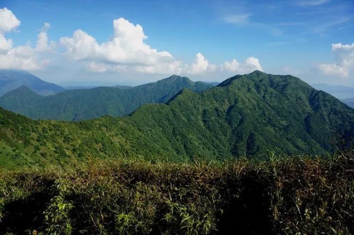 登山系列4月13日2019惠户十登之二九龙峰