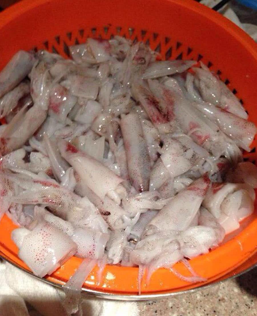 夜钓墨鱼一不小心就会被它喷一脸广东人叫它吹筒仔