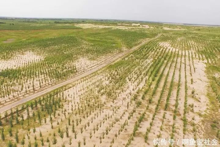 继续推进浑善达克,乌珠穆沁沙地重度危害区域治理,积极推进浑善达克