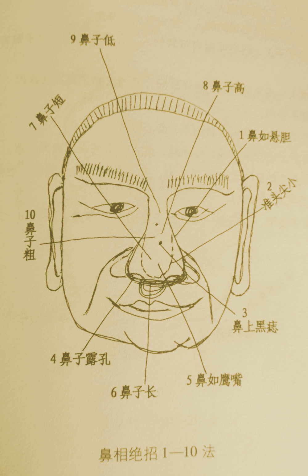 你所接触的人是否真的有钱 从相面角度为你揭秘 鼻子