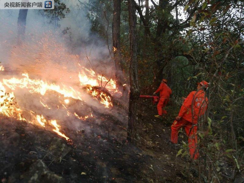 四川凉山州两县森林火灾在扑救 越西县山火已灭