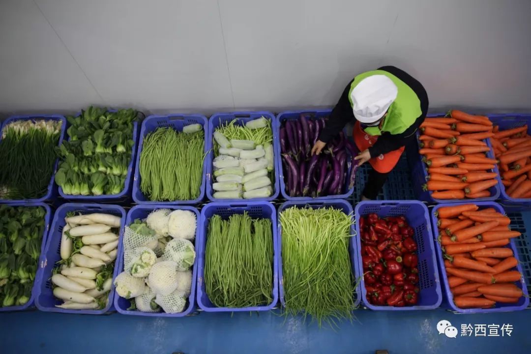 贵阳冷冻食品批发行业的最新动态探索
