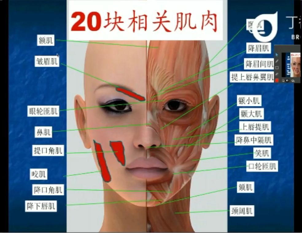 对全身软组织和骨骼都需要深入了解,尤其是头面部肌肉;吴主任曾在