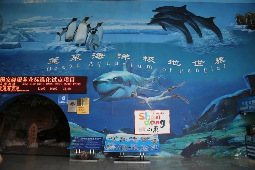 山东蓬莱极地海洋世界是亚洲最大的海洋世界,国家aaaa级景区,总投资4.