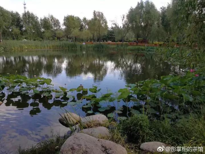 免门票长春百花园是花卉主题公园,位于长春市高新开发区芳草街与蔚山