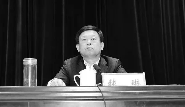 在任县委书记自杀当日参加会议讲话