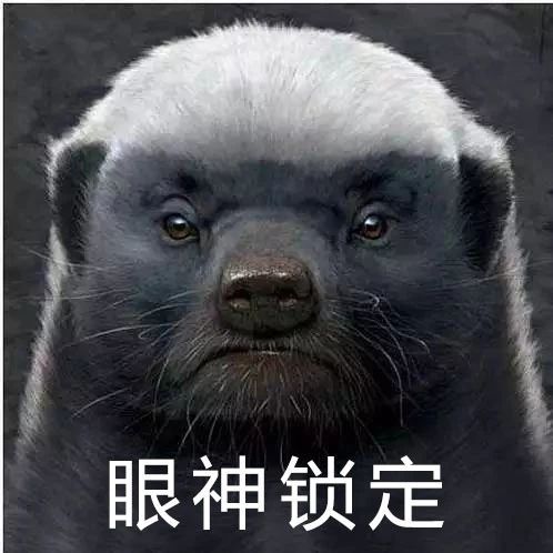 酒吧logo叫hhb音乐酒吧还开了个酒吧今年平头哥半导体有限公司阿里