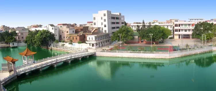 万江新村小学,石美小学,拔蛟窝小学…再见啦!_东莞