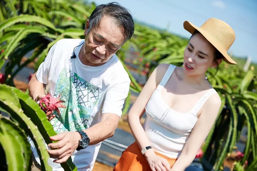 中国火龙果之父与红心火龙果的美丽情缘