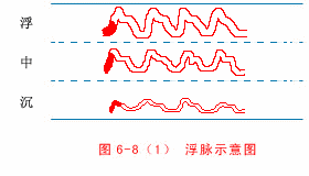 中医二十八脉分脉歌(动态图解)