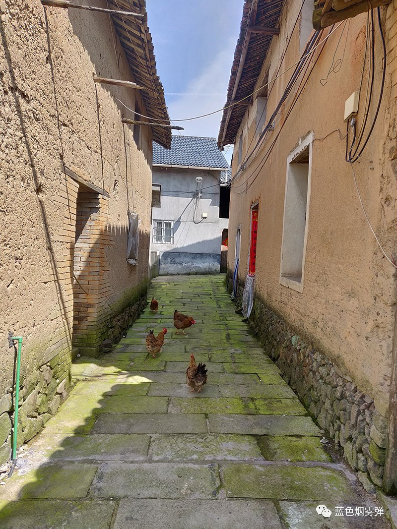 蕉川:存放着无数童年欢乐的千年粮仓_遂昌