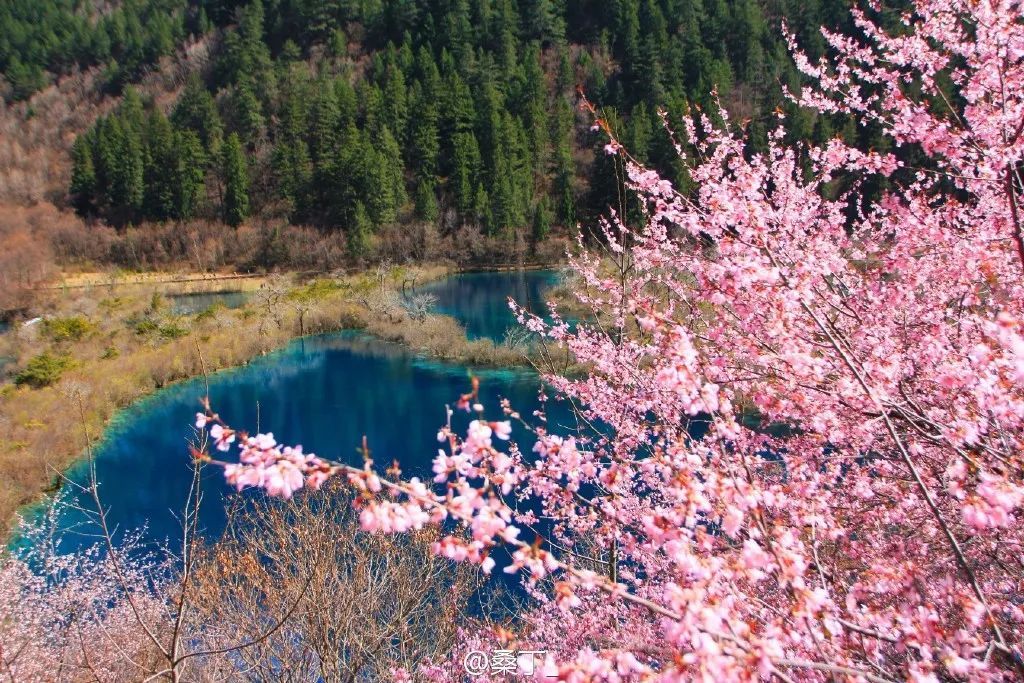 3月去九寨沟合适吗(3月底去九寨沟合适吗)