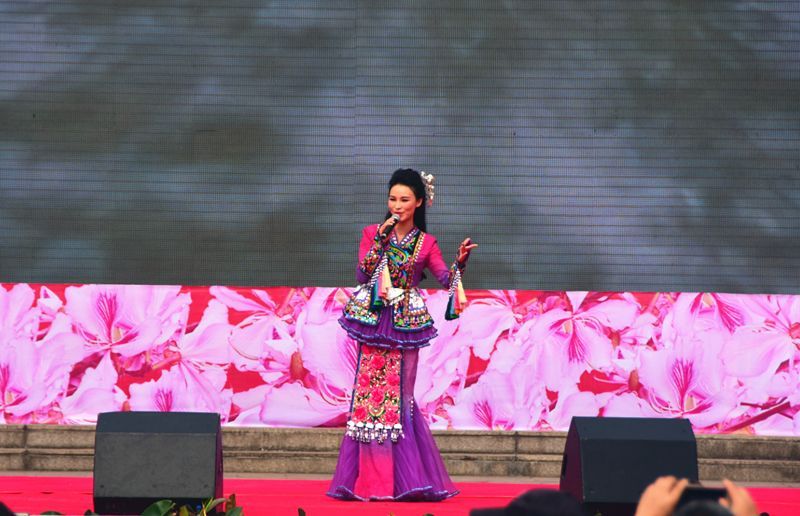 黄石歌手参加全国山歌邀请赛荣获最高奖项