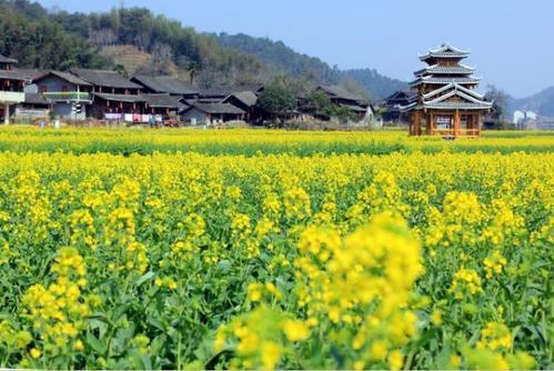 【鉴轻尘】4.10比特币震荡之局，就是开端还是破灭的征兆？